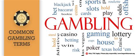 casino terminology|casino words list.